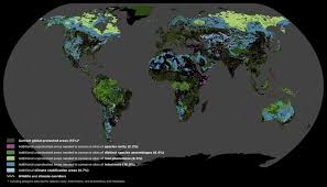 Nuevo Mapa Digital Revela Las Areas Que Debemos Preservar Para Salvar La Vida En La Tierra En 2020 Mapa Digital Ecosistemas Perdida De Biodiversidad