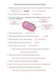 To survive, plants also need another chemical reaction called photosynthesis. Cellular Respiration Fermentation Review Worksheet Cellular Respiration Fermentation