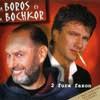 Boros Lajos and Bochkor Gábor cover of Lee Hazlewood and Suzi Jane Hokum's  'Summer Wine'