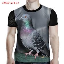 Nah, bila kamu ingin melihat semua gambar rumah adat daerah yang ada di indonesia, pantengin terus artikel ini hingga selesai ya. Baju Kaos 3d Burung Merpati 01 Full Print Shopee Indonesia