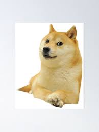 Coub is youtube for video loops. Doge Meme Poster Apsgeyser