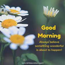 Company of good people is like walking in a shop of perfumes. Good Morning Quote Message In English For Whatsapp Whatsapp Images