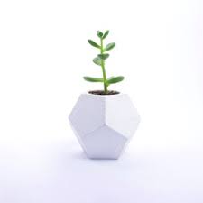 Geodesic Succulent Planter