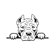 Pin On Dibujos