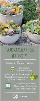 Sukkulenten Pflanzideen Kreative Schone Deko Tipps Kreative Pflanzideen Sukkulenten In 2020 Pflanzen Sukkulenten Pflanzideen