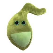Pin On Organs