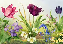 Browse animated greeting cards online from jacquie lawson. Happy Birthday Floral Awakening E Card By Jacquie Lawson