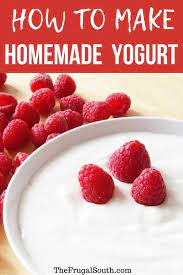 How To Make Homemade Yogurt Photo Tutorial Tips Homemade Yogurt Recipes Homemade Yogurt Diy Yogurt