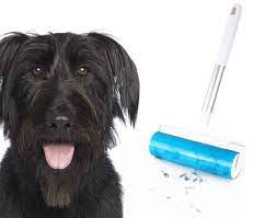 How To Remove Sticky Stuff From Your Dog S Hair Dog Grooming Tutorial