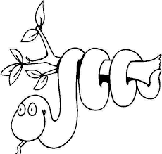 Preschool Snake Coloring Page In 2020 Snake Coloring Pages Animal Coloring Pages Jungle Coloring Pages