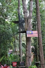 Taman botani negara shah alam memyediakan tempat² yang menarik seperti, taman padi, taman haiwan, taman iklim 4. Skytrex Melaka Extreme Adventure Fun In A Natural Environment
