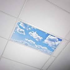 Ceiling light panels look so realistic; Octo Lights Fluorescent Light Covers 2x4 Fluorescent Light Filters Ceiling Light Covers For Classroom Kitchen Buy Online In Maldives At Maldives Desertcart Com Productid 41304871