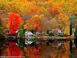 10 Best Desktop Backgrounds Fall Scenes Full Hd 1080p For Pc Desktop Fall Wallpaper Desktop Wallpaper Fall Colorful Fall Photos