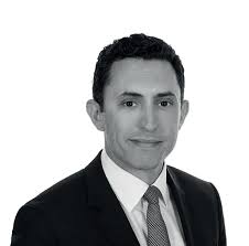 The Alternative Investor