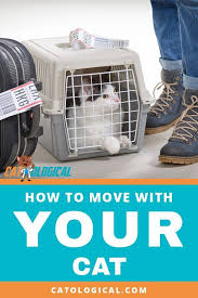 Tips And Tricks On How To Move To A New House City Or Country With Your Cat If You Think Moving Is Stressful Imag Cat Toilet Training Cat Training Cat Care