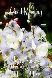 Abundance Of Faith And Hope Good Morning Sunday Pictures Photos And Images For In 2021 Good Morning Sunday Pictures Good Morning Happy Sunday Happy Sunday Pictures