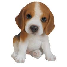 This article is brought to you by lg canada. Vivid Arts Vivid Arts Puppy Pal Beagle Puppy Stewart And Gibson Ltd