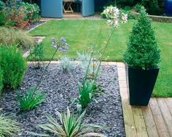 associer paillis d ardoise bleue agapanthes et graminees ou carex detail d une photo extraite de http www house idee jardinage jardin mineral mini jardins