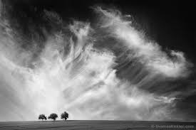 Black And White Landscape Photos For Sale Fine Art Photography Black And White Landscape Minimal Wall Art Trees Cloudscape Sky C Black And White Landscape White Photography Fine Art Photography