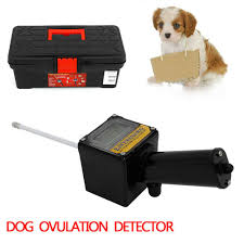 Draminski dog ovulation detector how it works. Dog Ovulation Detector Breeder Tester Machine Pregnancy Planning Breeder Canine Detecting Mating Case Us Stock Buy Online In Saint Lucia At Saintlucia Desertcart Com Productid 162906028