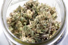 Strategic plan (licensing) michigan medical marijuana program. Legalisierung Von Cannabis In New York Wird Marihuana Bald Legal Panorama Stuttgarter Zeitung