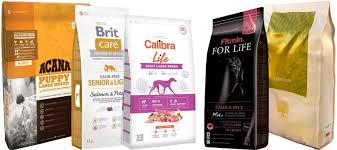 Image result for český fousek stavba těla