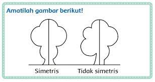 Berikut ini adalah kunci jawaban tema 7 kelas 3 halaman 210. Kunci Jawaban Kelas 3 Tema 7 Subtema 2 Pembelajaran 3 Simple News Kunci Jawaban Lengkap Terbaru