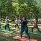 Outdoor Flow: Yoga for Every Body event in Bronson, FL