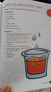 Pin By Betul Genc On Maquillada Decorr Me Homeschool Activities Preschool Crafts Science For Kids