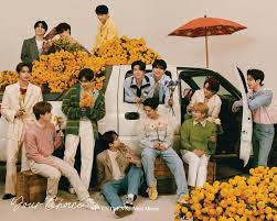 The couple spoke to the paparazzi in early 2021 about valentine's day plans, marriage, and how they met. Seventeen Members Profile Updated
