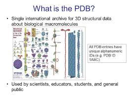 Rcsb pdb offers tools and resources to explore a structural view of biology at. Protein Data Bank An Introduction Learning To Use The Rcsb Pdb Portal Ppt Download