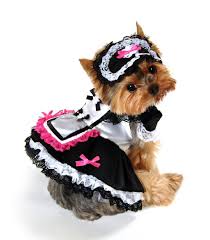 pink maid halloween dog costume maid costume for dogs ヨークシャテリア 可愛い 動物 犬
