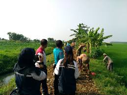 Masalah yang berdampak pada masyarakat luas itu dalam ilmu sosiologi disebut sebagai masalah sosial. Kerja Bakti Perbaikan Akses Menuju Sawah Petani Bersama Mahasiswa Kkn Di Mayong Kidul Desa Mayong Kidul
