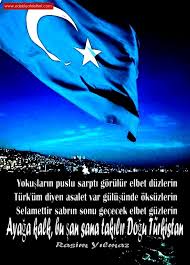 Kaldı ki sende bu pervasız zulümden yeniden mavilere boyanır mı bu bayrak bir esaret zinciri sana yazılan her destan seninle sen olayım doğu türkistan. Dogu Turkistan Siiri Rasimyilmaz Edebiyatdefteri Com