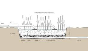 Currently, we offer over 120 wetland and upland native plants species. Constructed Wetlands Integrated Water Resource Management From Traditional Knowledge To Modern Techniques Department Of Earth Sciences