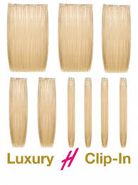 Extensions A Clips Qualite De Luxe Hickenbick Hair