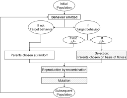 flow chart illustrating the operation of the evolutionary