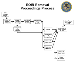 flowcharts immigration law concerning removal proceedings