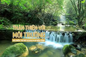 Thân thiện với môi trường là gì? Lợi ích và giải pháp