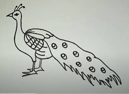 Add the neck and head. Easy Peacock Drawings The 7 Best Easy Drawings Of A Peacock