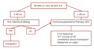 Diagnosis Flow Chart Aplastic Anemia Myelodysplasia