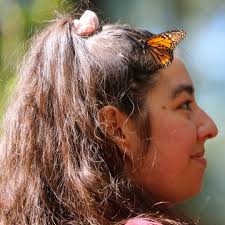 Happy Women's History Month! Join us as we honor the many women in  invertebrate science who have contributed invaluable knowledge and research  to science, technology, education, art, mathematics, and more. Women in