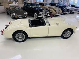 Image result for Old English White 1961 MG