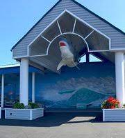 This value is seasonally adjusted and only includes the middle price tier of homes. Ocean World Crescent City 2021 All You Need To Know Before You Go With Photos Tripadvisor