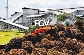 Sugar, coarse grain with an average refined 110, 000 kilogram of. Newsbreak Fgv Evaluating Proposals For Sugar Business Injection Of Assets The Edge Markets