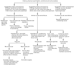 acute renal failure american family physician