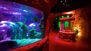 8 of the most perfect florida keys vrbo luxury homes. Sea Life Orlando Aquarium Orlando Vacation Rentals Villa Rentals More Vrbo