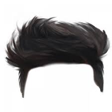 Cb Hair Png Editing Picsart Hair Png Stylish Image Free Dowwnload Photoshop Hair Hair Png Download Hair