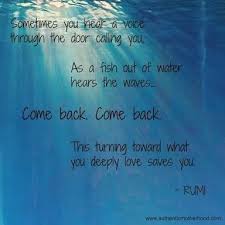 Sometimes You Hear A Voice Through The Door Calling You As A Fish Out Of Water Hears The Waves Come Back Come Back Rumi Love Rumi Love Quotes Rumi Quotes