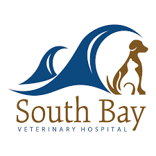 The professionalism of our doctors and staff is what sets us. Healthy Pets Animal Hospital Home Facebook